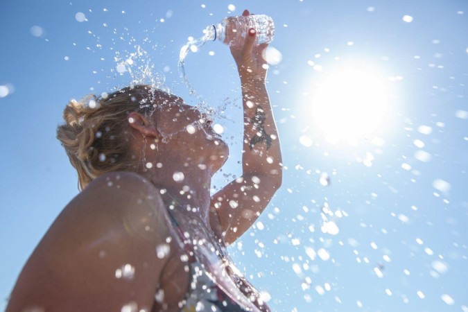 Há cuidados também a tomar para proteger os pets do calor extremo -  (crédito: Getty Images)