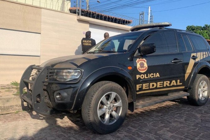 Polícia Federal combate tráfico de animais silvestres no Rio -  (crédito: EBC)