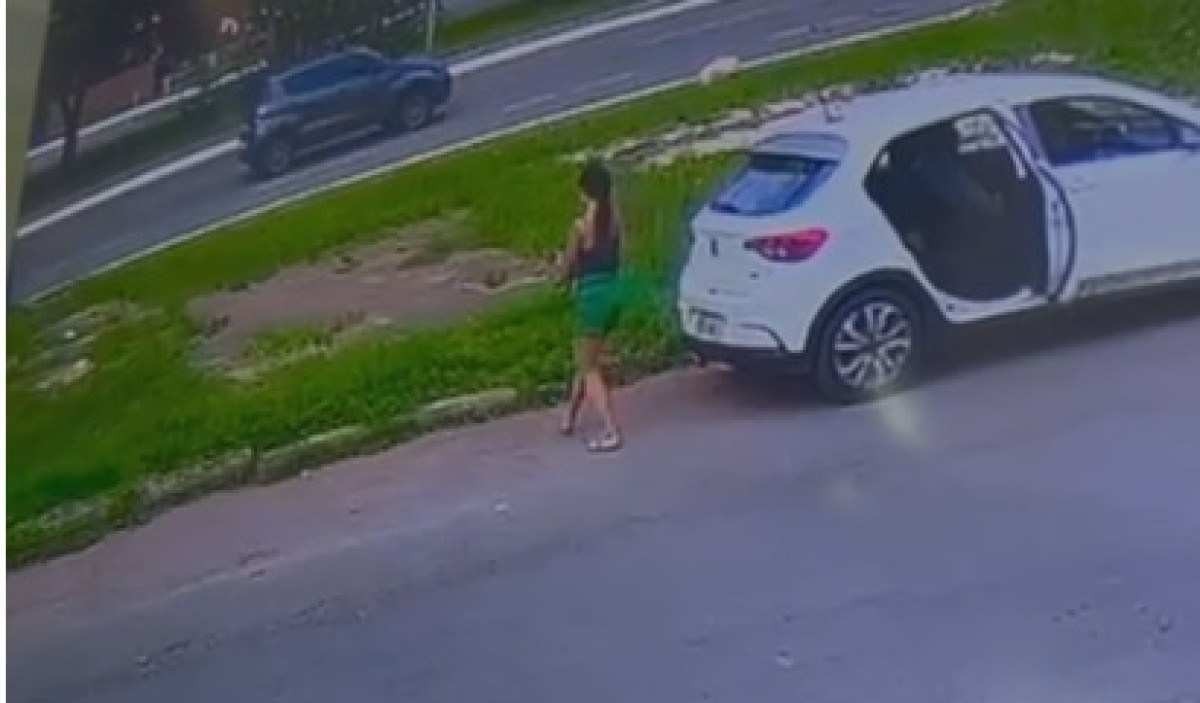 Vídeo: gatinha é abandonada e atropelada por motorista em Taguatinga