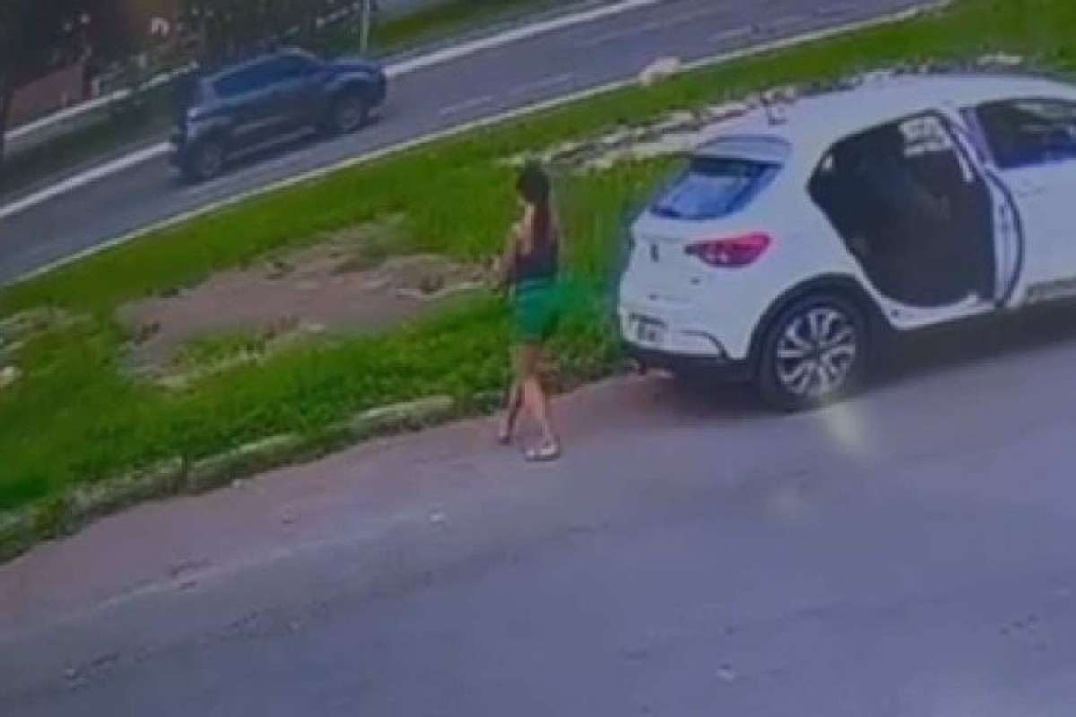 Mulher que abandonou gata em Taguatinga se apresenta à polícia