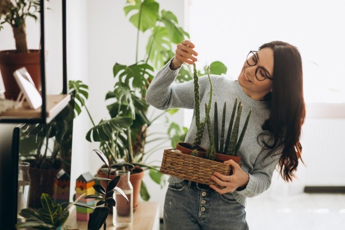 Com a chegada do outono, é necessário dar atenção especial às plantas (Imagem: PH888 | Shutterstock) -  (crédito: EdiCase - Decoração -> Revista do CB)