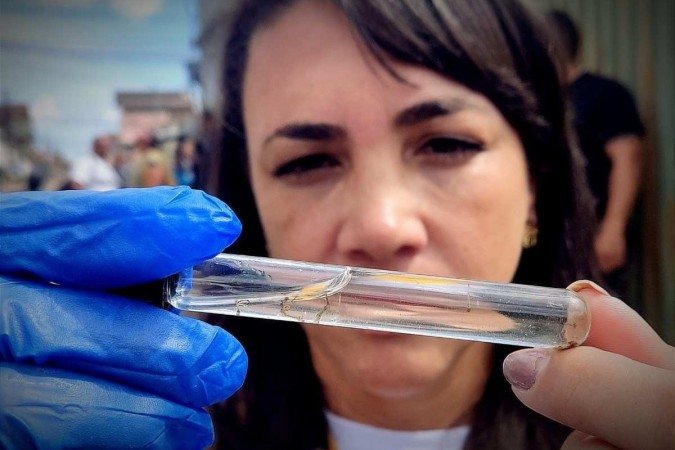 Monitoramento da progressão da dengue demandou do tribunal três ciclos de observação sobre a atuação do poder público contra a infecção -  (crédito: Ed Alves/CB/DA Press)