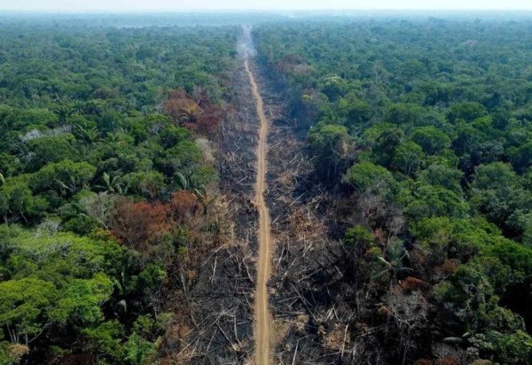 Rota do desmatamento em Humaitá, no Amazonas  