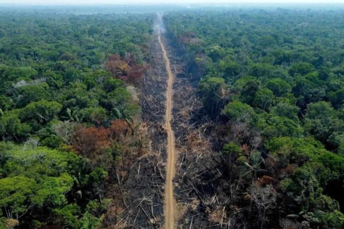 Michael Dantas/AFP -  (crédito: Rota do desmatamento em Humaitá, no Amazonas  )