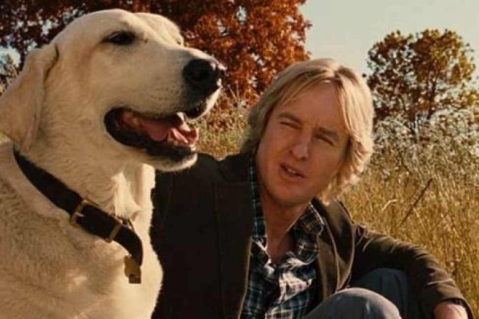 22 cachorros foram usados no filme  -  (crédito: Divulgação)