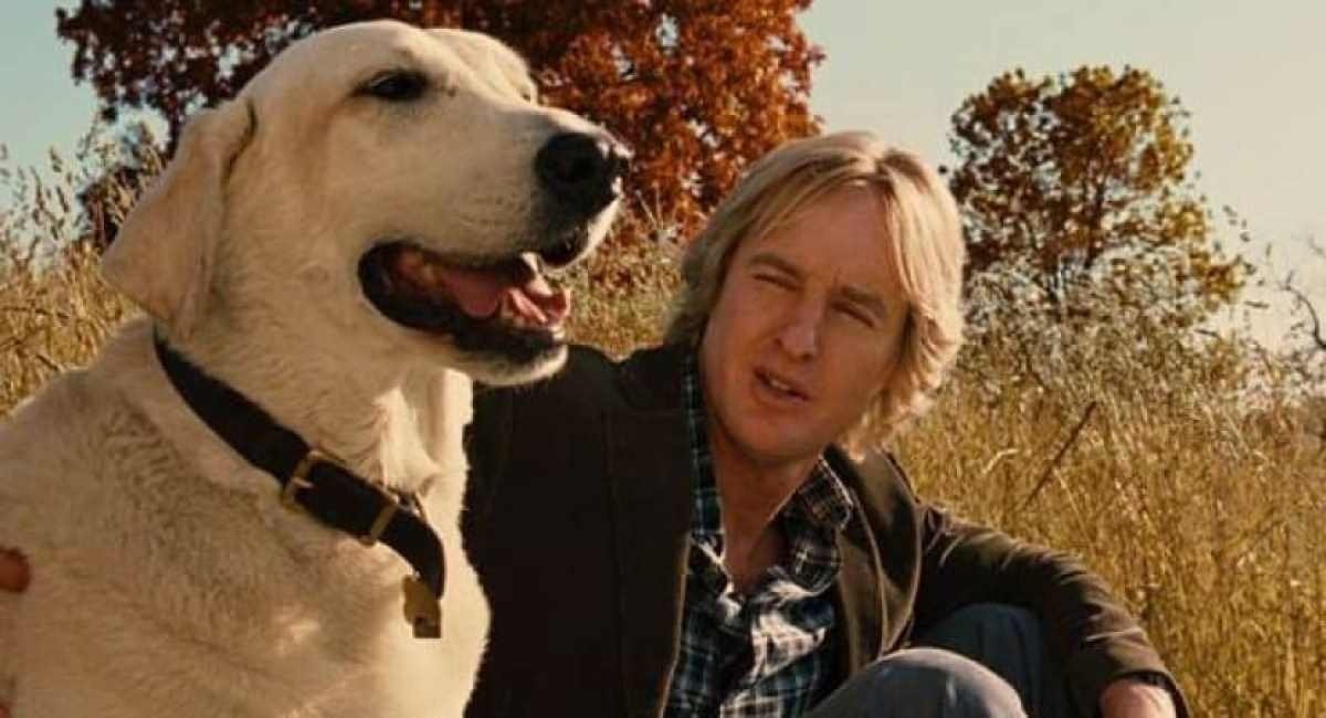 'Marley & Eu': 22 cachorros foram usados no filme 