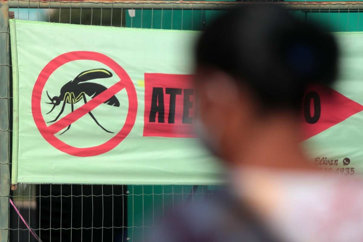 Conheça os sinais de alarme da dengue grave e as fases da doença