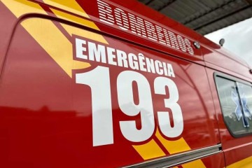 corpo de bombeiros de santa catarina -  (crédito: Divulgação/CBMSC)