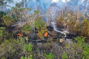 Bombeiros e brigadistas tentam conter incêndio em uma área do Pantanal: devastação sem precedentes -  (crédito: Gustavo Figueiroa/SOS Pantanal)
