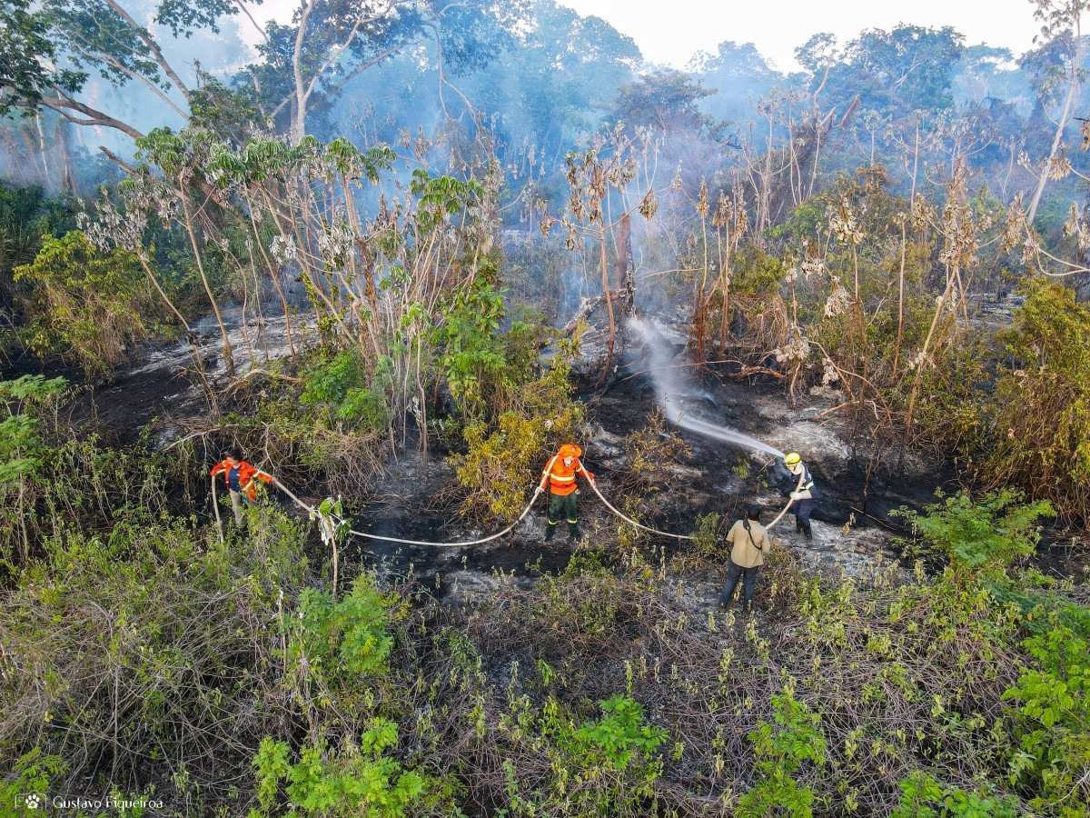 Governo libera R$ 100 milhões para combate de incêndios no Pantanal
