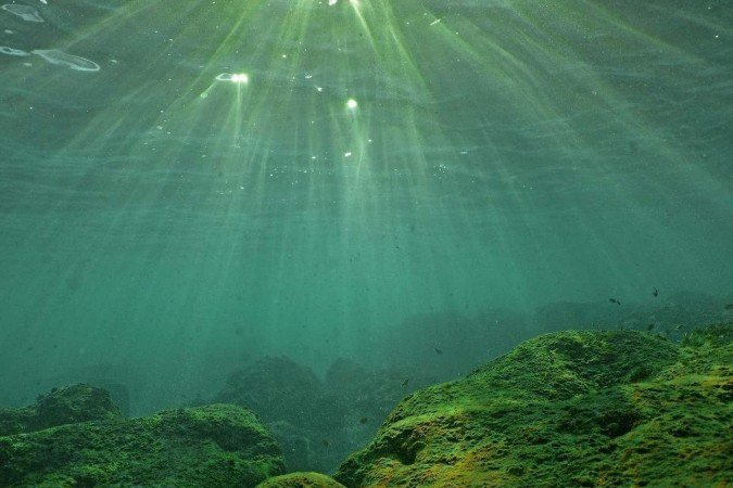  (FILES) This underwater photograph shows light penetrating the water surface in the Mediterranean Sea off the coast of Batroun city on August 1, 2023. Global temperatures 