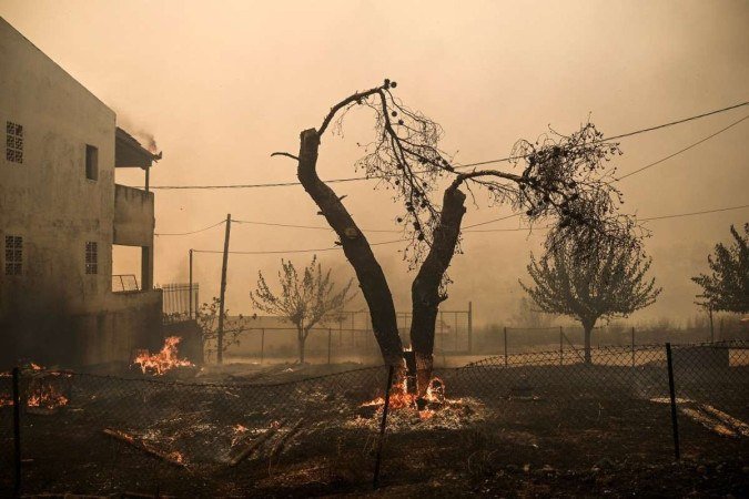  (FILES) This photograph taken on August 23, 2023 shows a burnt tree in a garden as a wildfire spreads in Acharnes, north of Athens. Global temperatures 