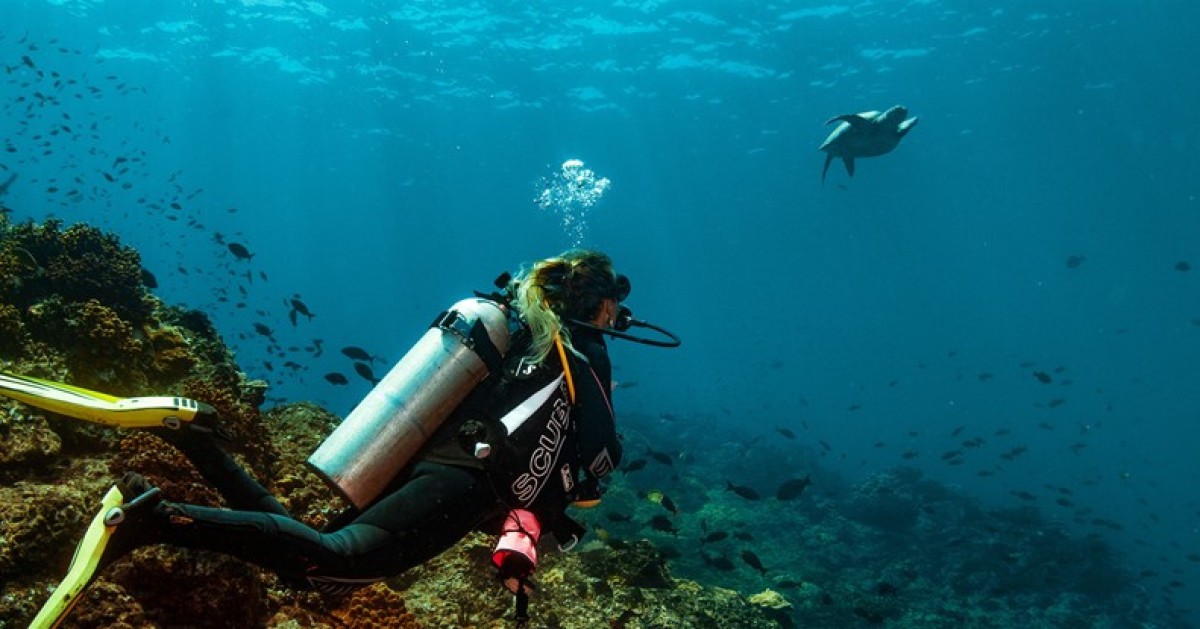 Pesca, mergulho e surfe: Panamá oferece aventuras aquáticas para quem gosta de fugir do óbvio -  (crédito: Uai Turismo)