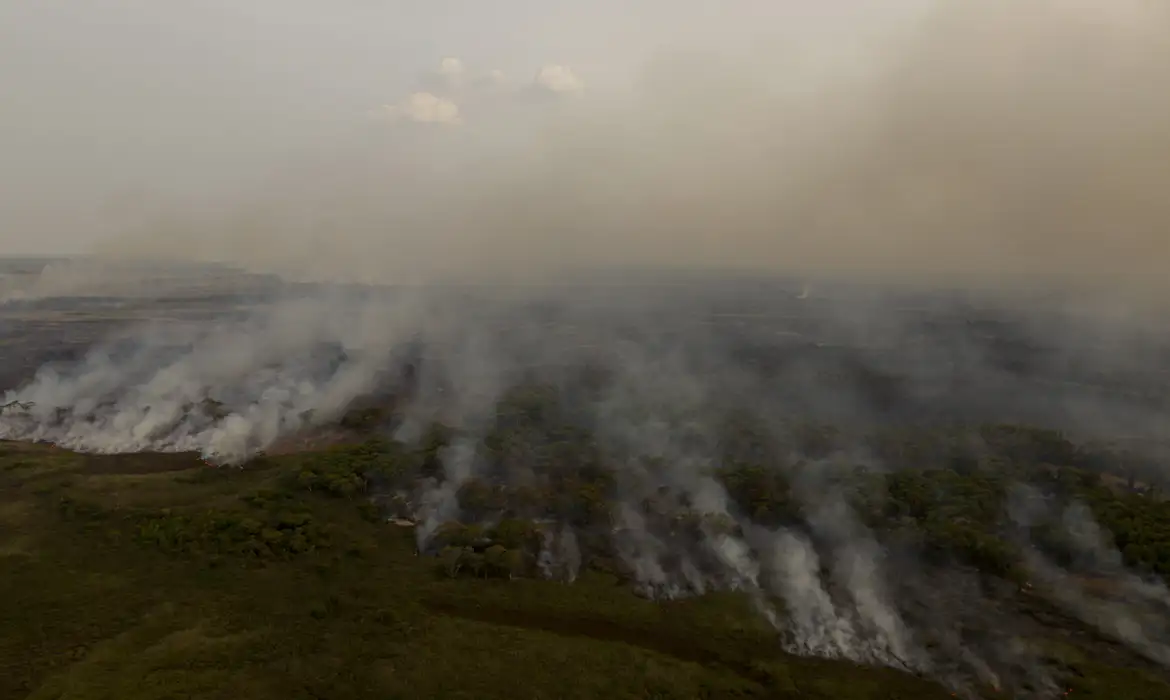 PL que muda Código Florestal vai desproteger 48 milhões de hectares  -  (crédito: EBC)