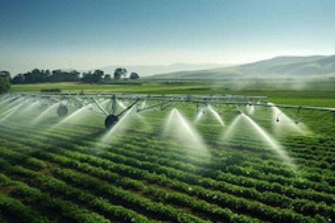 Projeto de ampliar a área irrigada no país não é barata. Para cada hectare, o custo médio do equipamento de irrigação chega a ser de aproximadamente R$ 25 mil -  (crédito: Freepik)