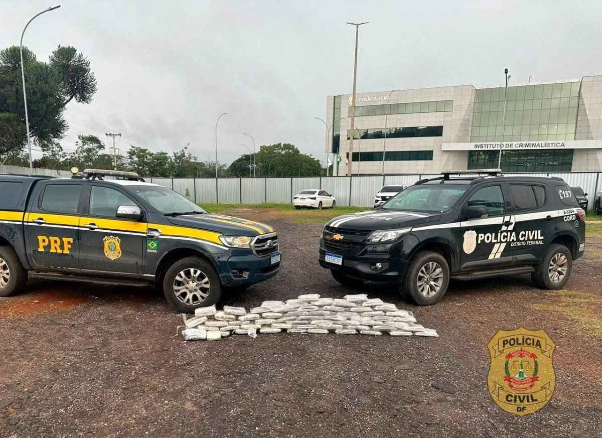 Polícia apreende 100 kg de skunk no Distrito Federal 