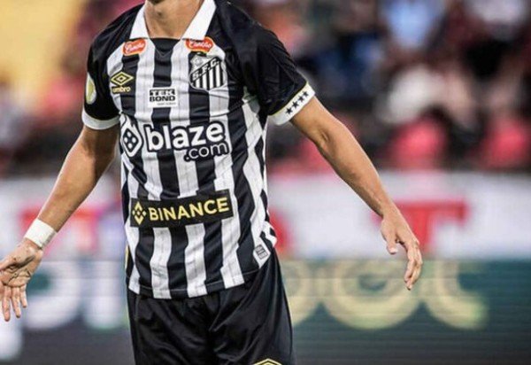 Foto: Raul Baretta/Santos FC