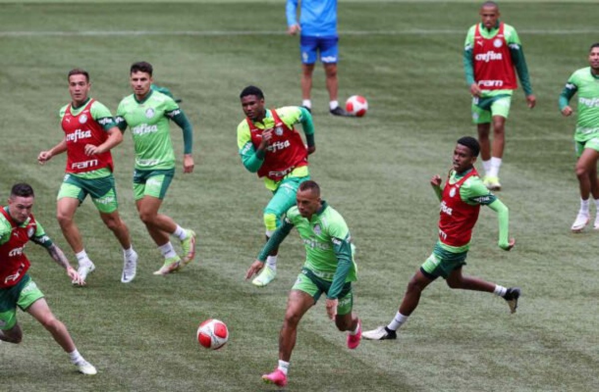 Palmeiras treina no Allianz Parque com selecionáveis e testa novo gramado