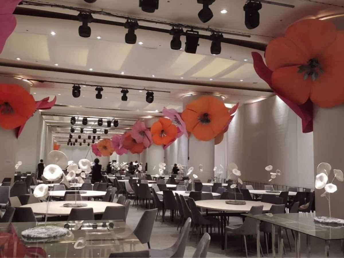 Jacqueline Benevides