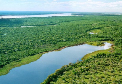Você sabia que o Brasil abriga a maior ilha fluvial do mundo? Trata-se da Ilha do Bananal, localizada no estado do Tocantins. -  (crédito: Márcio Di Pietro / Secom)