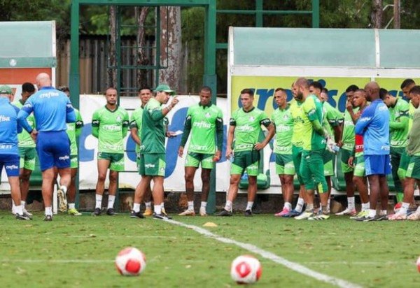 Foto: Divulgação Palmeiras