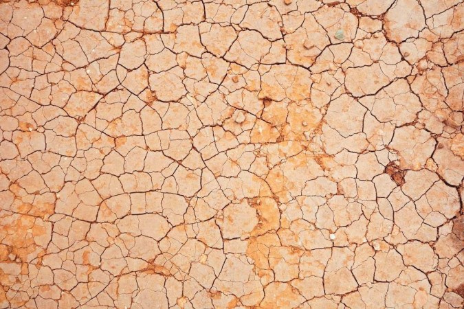 A seca seca coloca milhões de pessoas em risco de fome. -  (crédito: Micaela Parente/Unpslash)