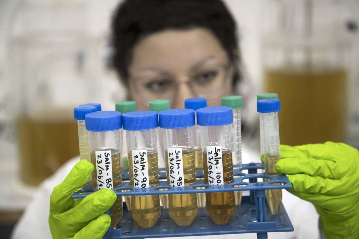 Urina humana é alternativa para criar fertilizantes no Chile