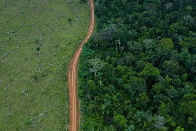 O retorno de Lula ao governo coincidiu com uma queda dramática nas perdas florestais no Brasil, segundo pesquisa -  (crédito: Getty Images)