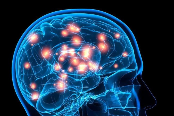 Representação dos circuitos cerebrais envolvidos na síntese da serotonina, um neurotransmissor  -  (crédito: Universidade do Texas/Divulgação )