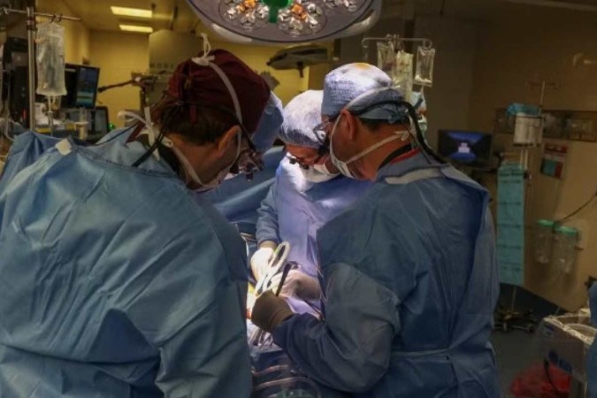 Primeiro transplante de rim de porco em uma pessoa viva -  (crédito: Massachussets General Hospital)