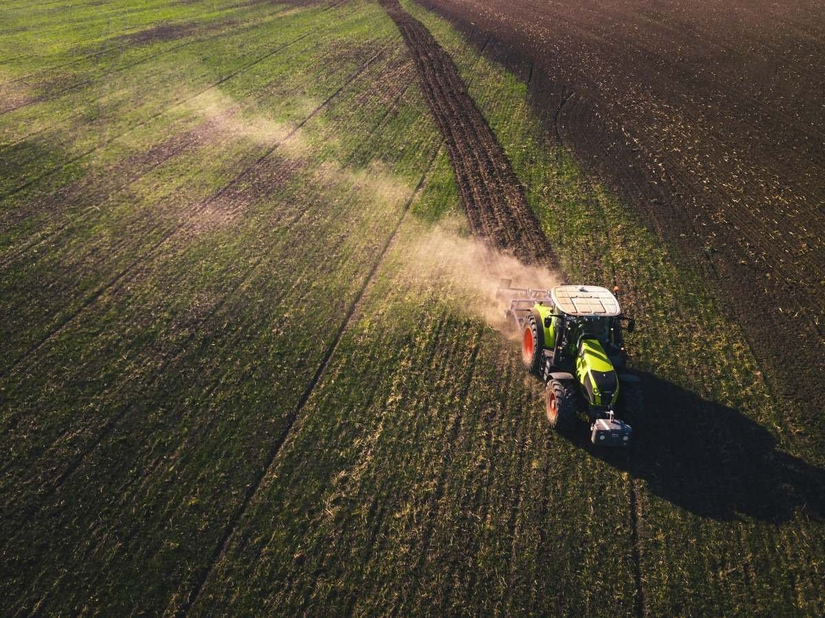 Soja, gado e cana representam 77% da agropecuária brasileira