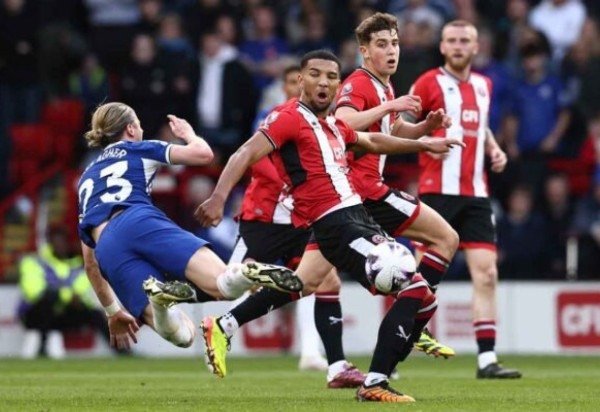  AFP via Getty Images