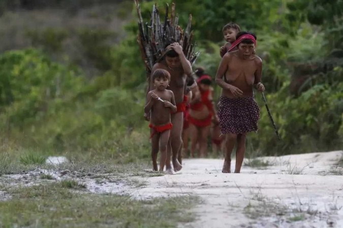 O tribunal constatou que informações sobre os indígenas não são divulgadas de maneira adequada para a sociedade e não há ferramentas que permitam a extração dos dados -  (crédito: Fernando Frazão/Agência Brasil )