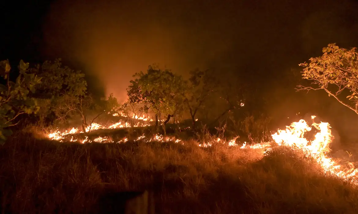 Amazônia: incêndio em área de floresta madura cresceu 152% em 2023 -  (crédito: EBC)