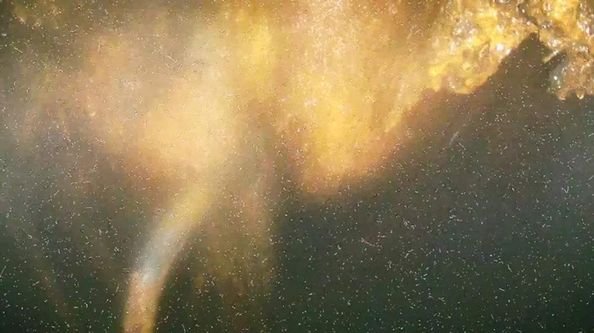 Estruturas em forma de pingente de gelo que podem ser restos de combustível nuclear fotografados por um drone no fundo de um vaso de pressão de um reator