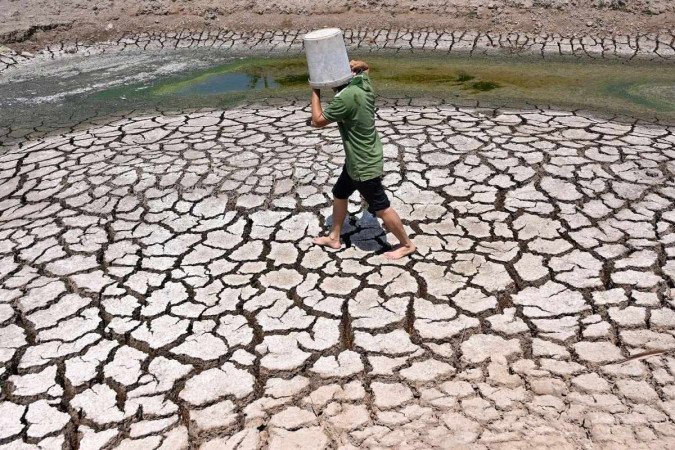     As mudanças climáticas afetam os ciclos de vida