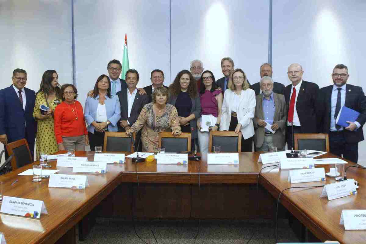 Reunião ocorreu nesta quinta-feira às 17h. -  (crédito: Arquivo Pessoal)