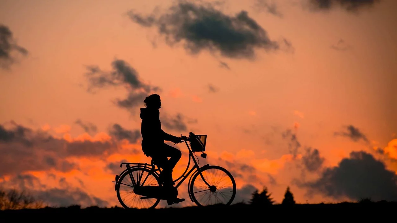 15 de abril é Dia Mundial do Ciclista. Pedalar é um exercício saudável e uma forma de transporte limpa e prática, cultivada em muitos países desenvolvidos.  -  (crédito: renategranade pixabay )