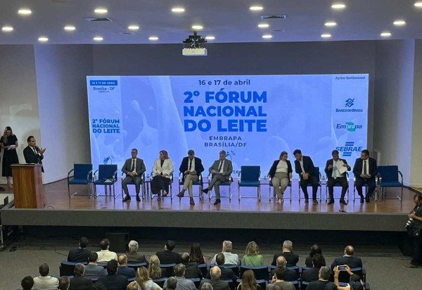 Henrique Fregonasse