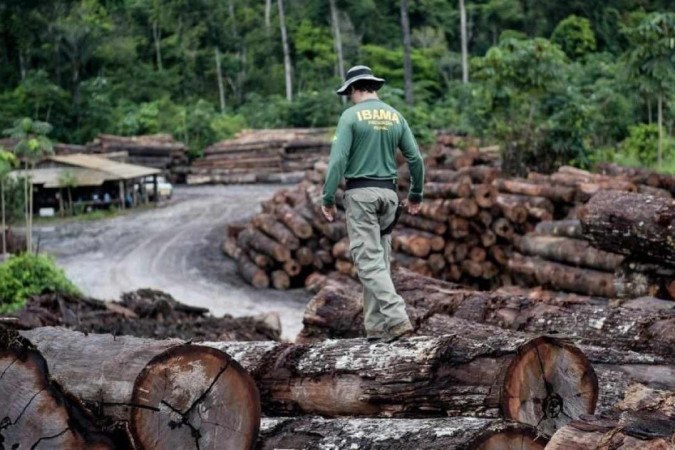 A variação, segundo o Ministério do Meio Ambiente e Mudança do Clima, está dentro da margem de erro -  (crédito: Ibama)