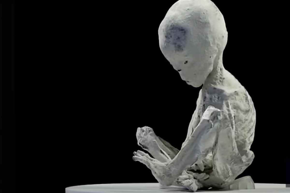 Espécime de 'múmia de E.T grávida' é exibida em evento no Peru e causa confusão