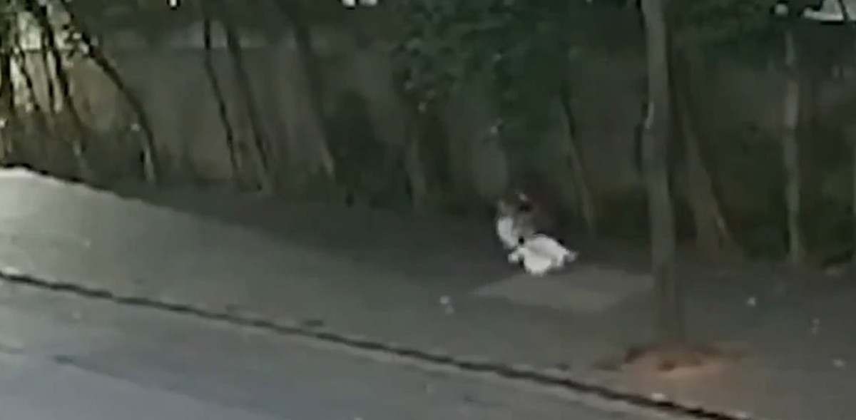 Vídeo flagra assalto a Silvia Poppovic em São Paulo
