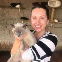 A gatinha Pérola foi resgatada por Graciene Oliveira -  (crédito: Arquivos pessoal)