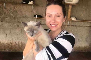 A gatinha Pérola foi resgatada por Graciene Oliveira -  (crédito: Arquivos pessoal)