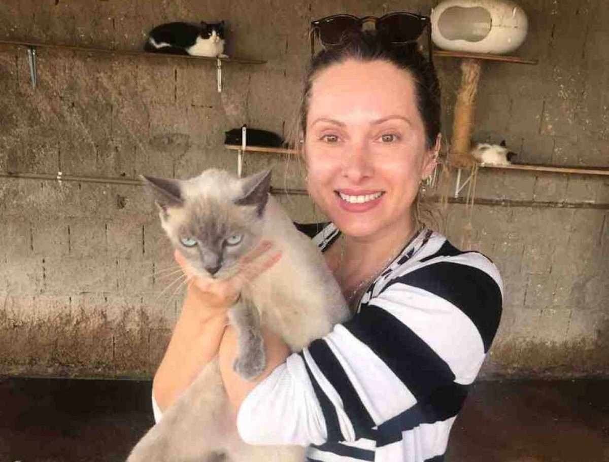 DF tem cerca de 1,7 milhão de cães e gatos abandonados nas ruas