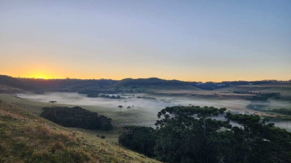 Santa Catarina tem geada ao amanhecer e temperaturas próximas a 0°C