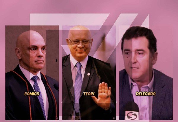 ReproduÃ§Ã£o/Comprova