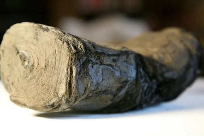 Rolo de pergaminho carbonizado pela lava do Vesúvio compõe a Biblioteca de Herculano
 -  (crédito: Vesuvius Challenge)