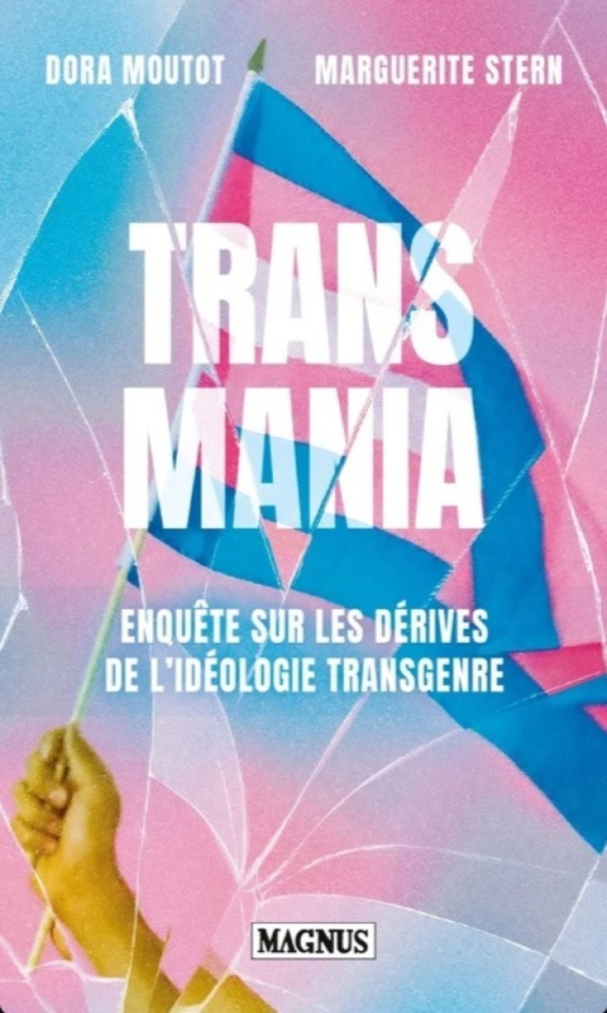 Livro crítico ao movimento trans vira sucesso de vendas na Amazon
