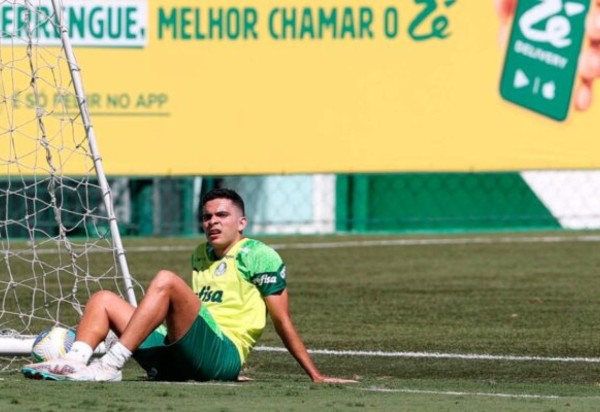 Foto: Cesar Greco/Palmeiras